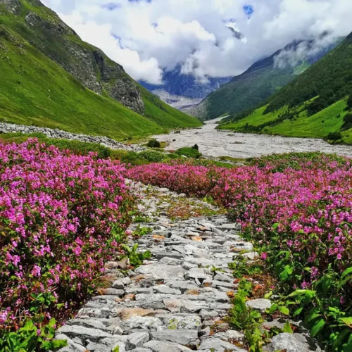 Valley of Flowers + Hemkund Sahib Package (6 Days / 5 Nights)